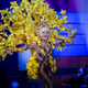 Illustration for article titled Rejoice: The Batshit Miss Universe Costume Competition Is Back